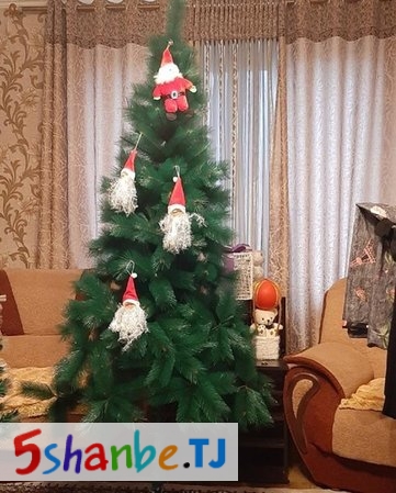 Новогодняя елка - Душанбе, Столица РТ